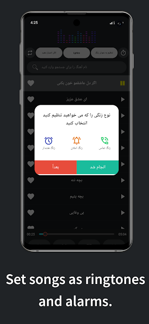 آهنكـ های محسن لرستانی آفلاین Screenshot 3