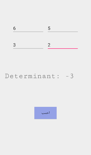 Determinant of matrix. Screenshot 1
