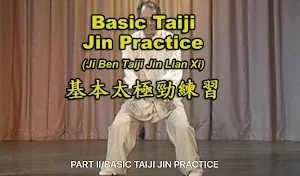 Tai Chi Pushing Hands Screenshot 3
