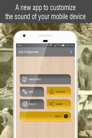 ringtones cat for phone, sounds of cats free Screenshot 0