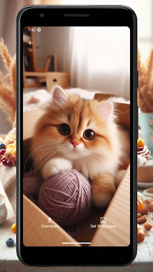 Wallpaper Kucing Lucu dan Imut Screenshot 3