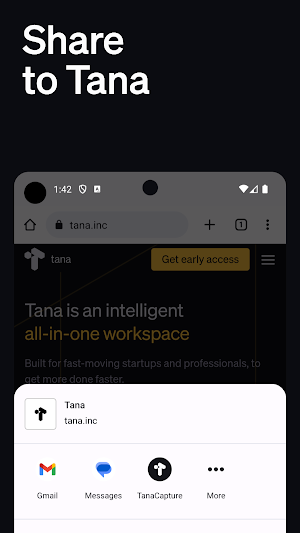 Tana Capture Screenshot 3