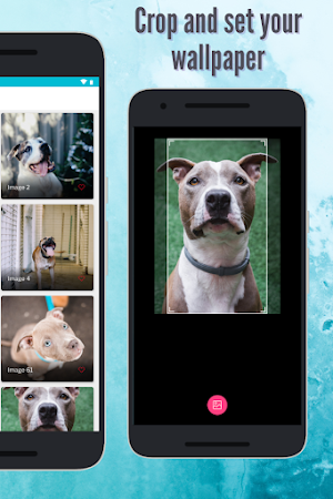 Pitbull Dog Wallpaper: Full HD Screenshot 1