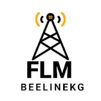 FLM BeelineKG