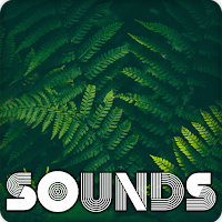 Rainforest Relaxing Sound