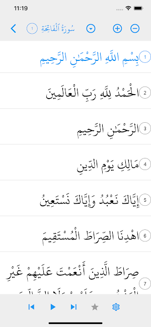 MAS Dallas Islamic Center Screenshot 1
