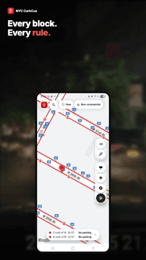 CurbCue: NYC Parking Rules Screenshot 3