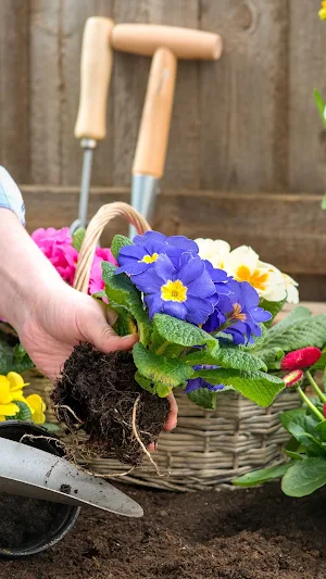 Gardening Wallpaper Screenshot 2