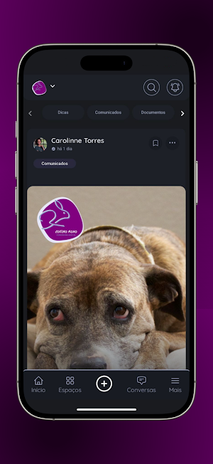 Coelho Roxo Screenshot 1