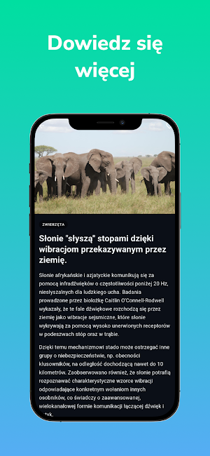 Curio — Daily Fun Facts Screenshot 1