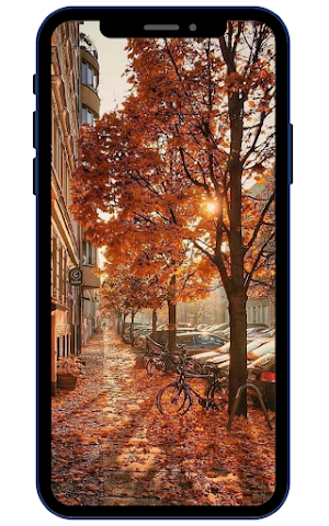 Autumn Wallpapers Screenshot 0