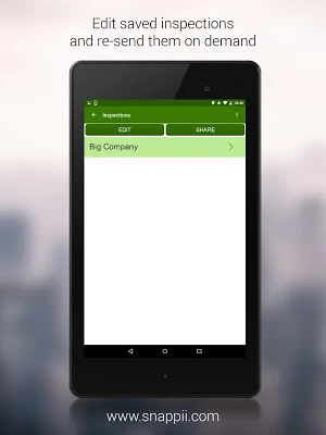 Energy Efficiency Inspection Screenshot 2