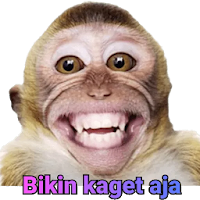 Perang Gambar Monyet - WAStick