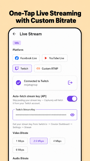 Screen Recorded - Capturely Screenshot 2