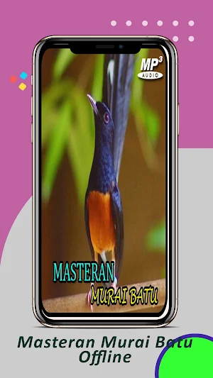 Masteran Murai Batu Offline Screenshot 0