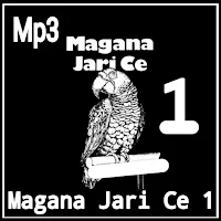Magana Jari Ce Littafi Na 1