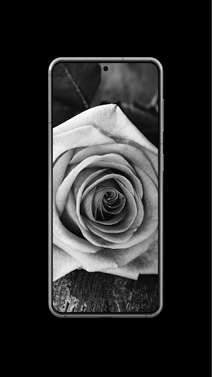 Black Wallpaper HD Background Screenshot 3