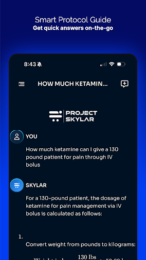 Project Skylar Screenshot 0