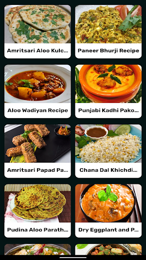 Punjabi Dishes Recipes Screenshot 2