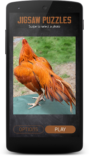 Gamecocks jigsaw for kids Screenshot 0
