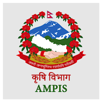 Ampis Nepal