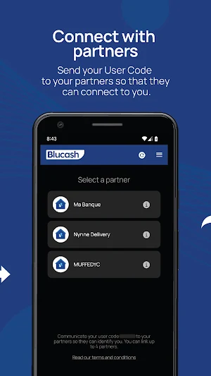 Blucash Client Screenshot 2