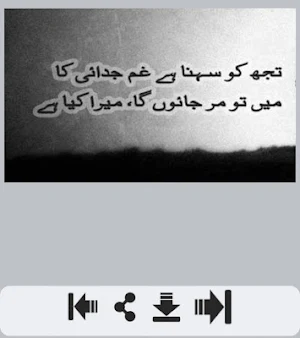Judai Shayari Screenshot 0