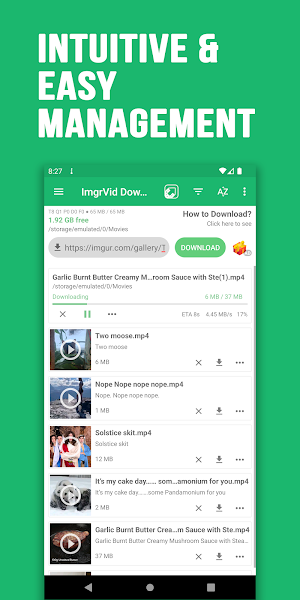 Video Downloader for Imgur Screenshot 2