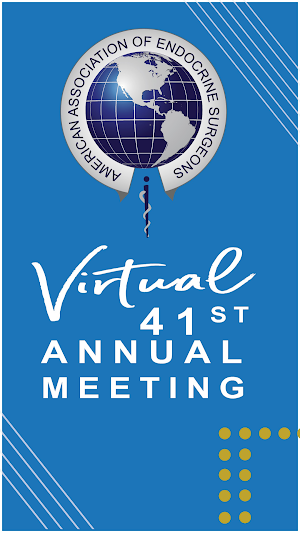 AAES Annual Meeting Screenshot 0