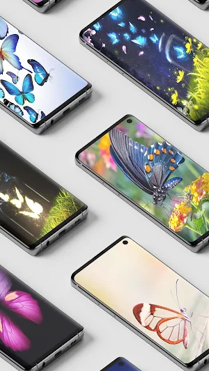 Butterfly Wallpaper Screenshot 1