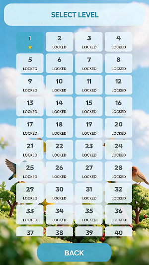 bird link Screenshot 3