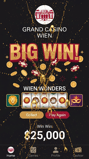 Casino Wien Screenshot 0