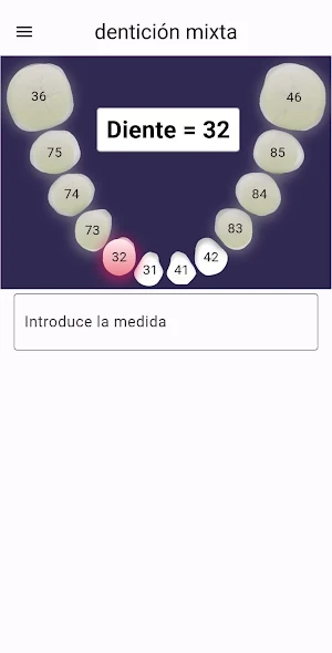 OrthoCalc Screenshot 1