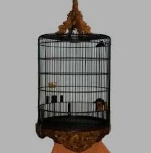Carving Bird Cage Screenshot 3