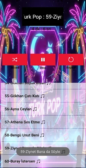 Türk Pop Şarkıları İnternetsiz Screenshot 3