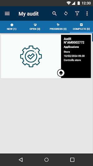 Audit Manager - Lusben Screenshot 2