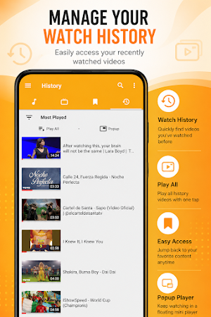 Tube MP3 Video Downloader Screenshot 2