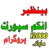 Benazir Income Support