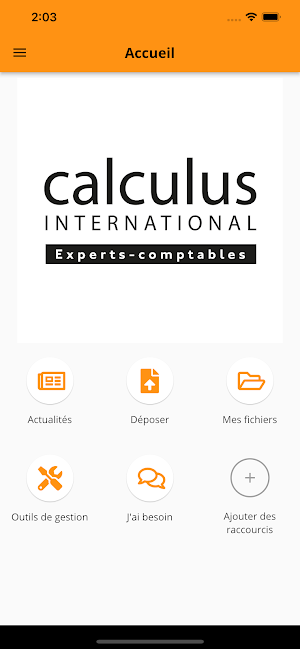 CALCULUS INTERNATIONAL Screenshot 1