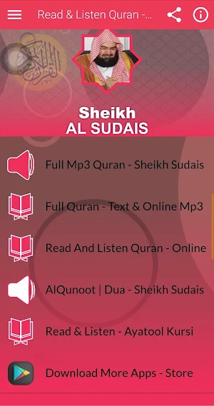 Al Sudais Full Quran Offline Screenshot 0