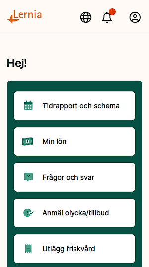 Lernia Konsult Screenshot 0