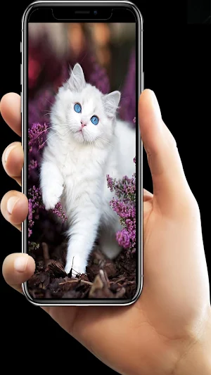 Kitten Lock Screen Screenshot 2