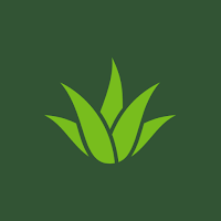 Vapor One
