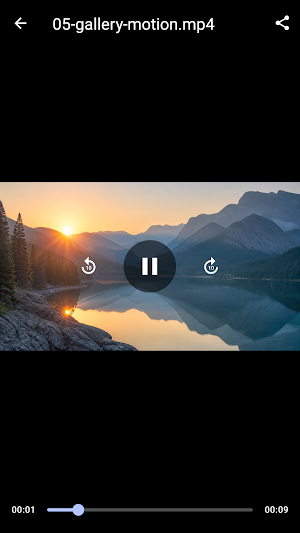 Gallery (offline) Screenshot 3