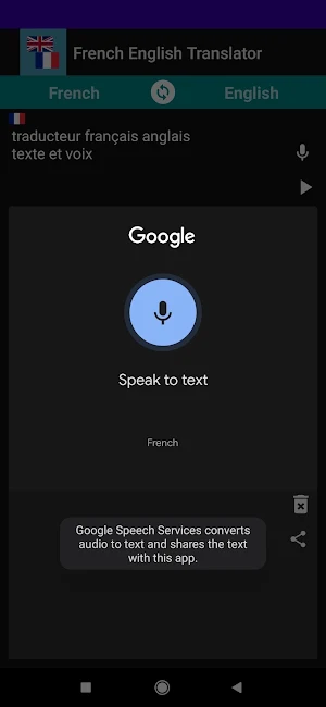 French English translator Screenshot 2