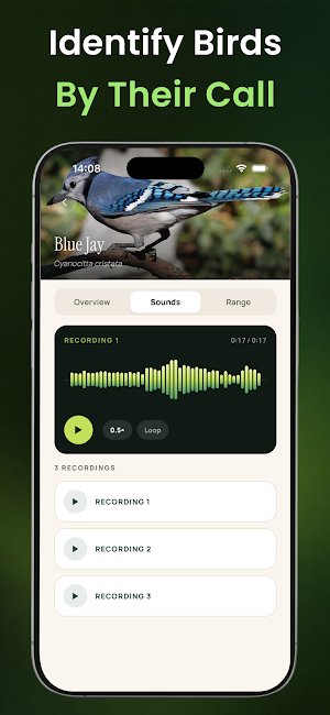 Bird Sound Identifier : BirdID Screenshot 1