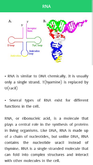 Molecular Biology Screenshot 2