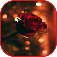 Flowers and Roses Images Gif