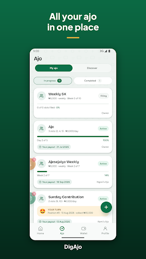 DigAjo Screenshot 2