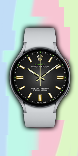 2026 ROLEX 4 in 1 Screenshot 2
